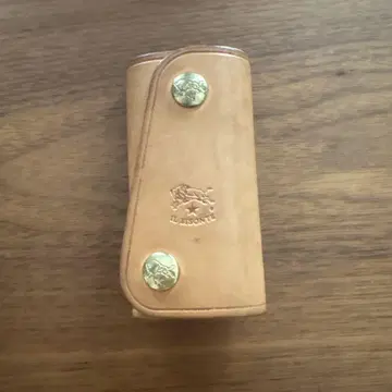 IL BISONTE