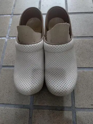 단스코