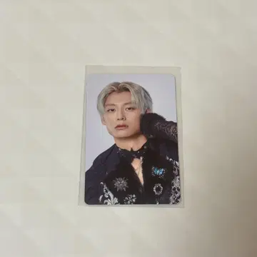 초특급 NINE LIVES 알로하 HMV 트레이딩 카드