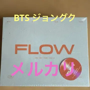 BTS 정국 FLOW 팬사이트 USB