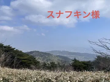 EU41 다크 블루 스너프킨 님
