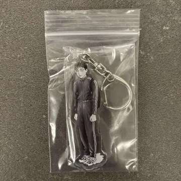 가라오케 가자! 꿈결, 너에게. 와야마 야마 아크릴 참 니카이도