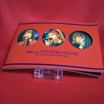 GIZA studio VALENTINE CONCERT 사진집