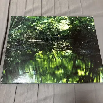 Water Mirror 스즈키 리사쿠