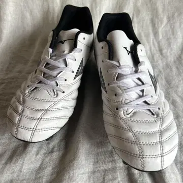 미즈노 모나르시다 네오 Mizuno monarcidaneo 23.5cm