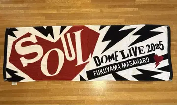 FUKUYAMA MASAHARU 타월 2025