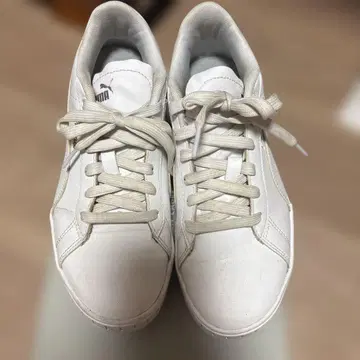 푸마 스니커즈 24cm