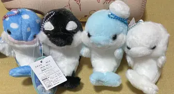 하이 아쿠아땅 돌고래 아쿠아 범고래 쉘 벨루가 킨도 고래상어 마린