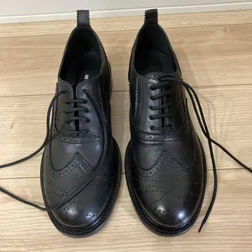 안두믈메스테르 윙 칩