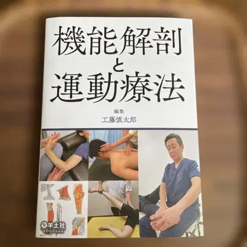기능 해부학 및 운동 치료
