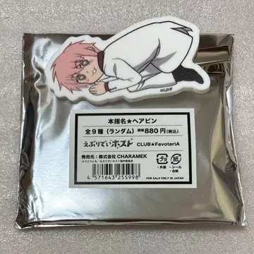 코이치 함함 본지명 헤어핀