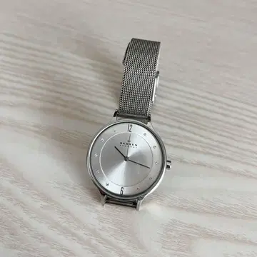 SKAGEN 손목시계 스틸 메쉬 워치 작동 중
