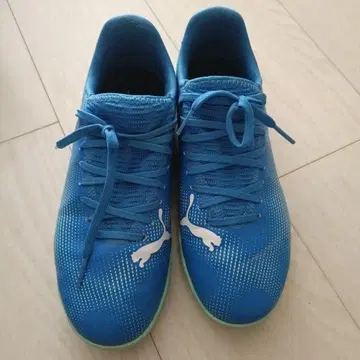 Puma 축구화 파랑