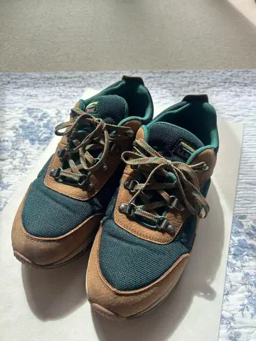 L.L.Bean 스니커즈 브라운/그린