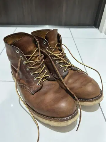 레드윙 아이리쉬 세터 카퍼 28.5cm US10.5