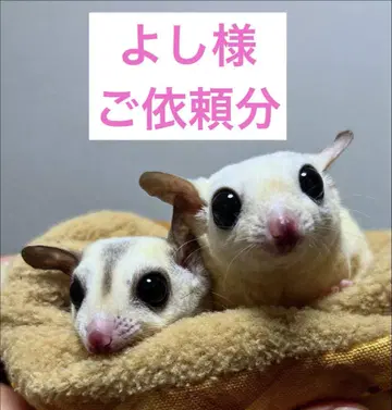 [ 요시님 의뢰분 ]