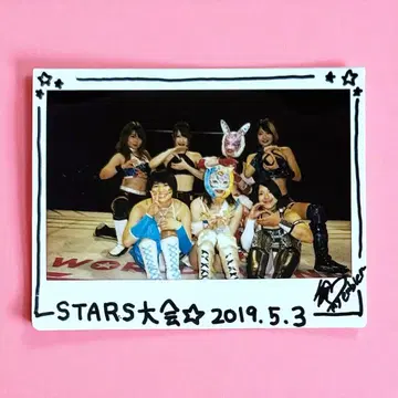 [ 귀중품 ] STARDOM STARS 폴라로이드 사슴 사키 사인 포함