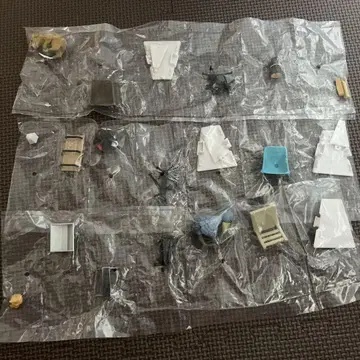 동물 캠핑 02 장수풍뎅이 골든 리트리버 하시기비로코