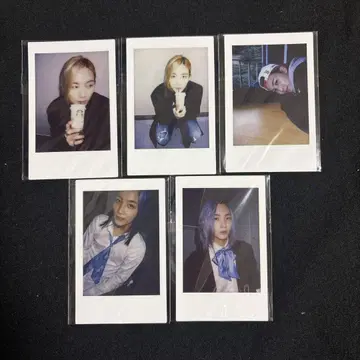 SEVENTEEN concert 2015 폴라로이드 정한