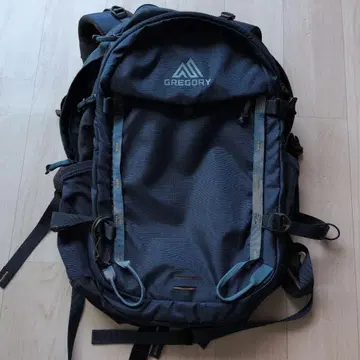 GREGORY 백팩 MATIA28