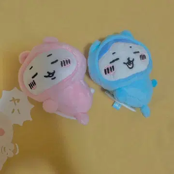 피타레스트 치이카와 (먼작귀) 하치와레