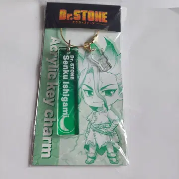 Dr.STONE 이시가미 센쿠 아크릴 키링