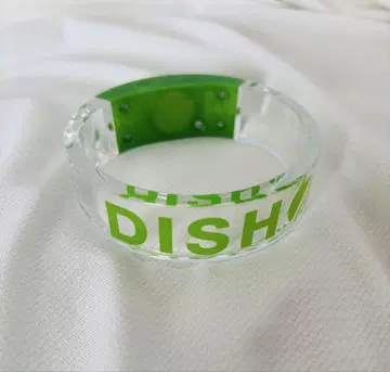 DISH// 라이트뱅글 GARDEN