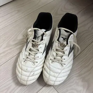 Mizuno 모나르시다 네오 스파이크 25cm