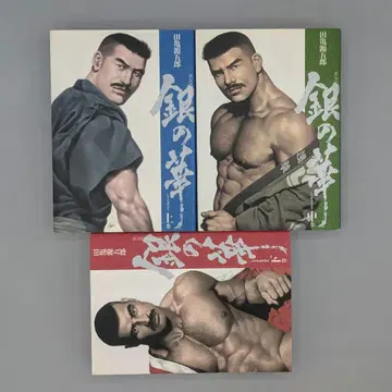0584 [레어] 타가메 겐고로 은의 꽃 상중하 3권 세트