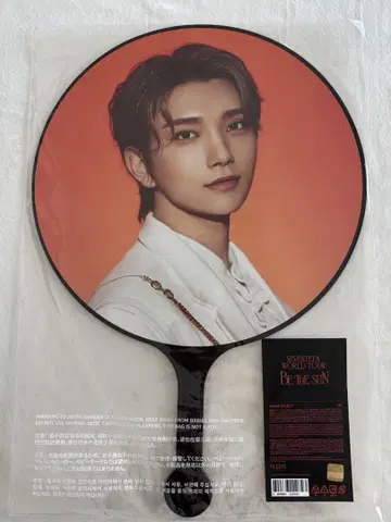 SEVENTEEN 조슈아 부채