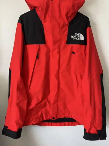 THE NORTH FACE 마운틴 후드티 빨검 GORE-TEX