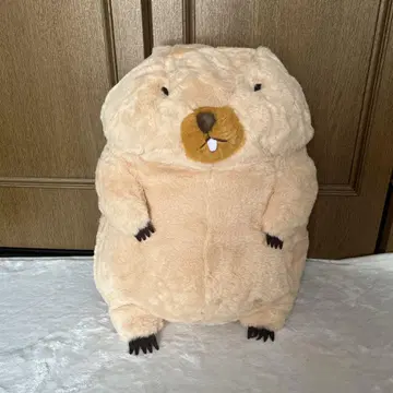 마모트의 모토토모어 봉제 인형 BIG 보바 군