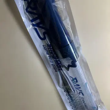 RAYS 스탠드 라이트 돔 투어 2024