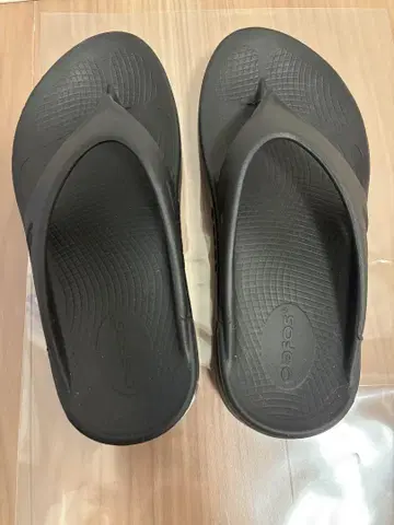 우포스 우 오리지널 w6 23cm