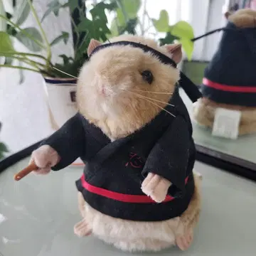 쿵푸 햄스터