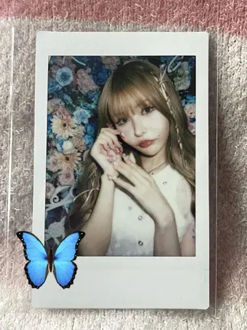 전율 카나노 폴라로이드 4