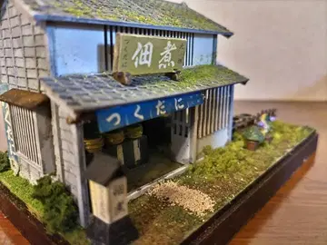 정경 모형, 쓰쿠다니야, 완성품