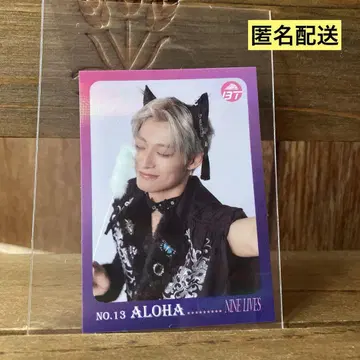 초특급 NINE LIVES 하와이안반 스티커
