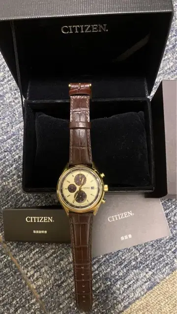 손목시계 CITIZEN ECO-DRIVE CA0452-01P