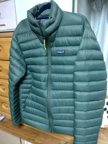 patagonia M's Down Sweater 그린