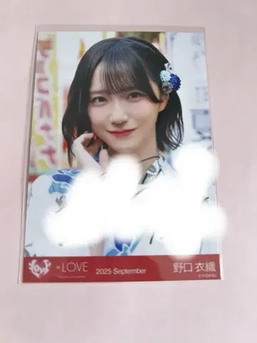 이코러브 = LOVE 노구치 이오리 브로마이드 친필 요리 비밀 이야기