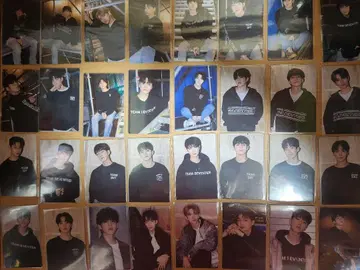 SEVENTEEN CARAT LAND