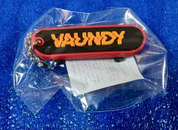 Vaundy little punk 캡슐 토이 러버 키체인 스케이트보드