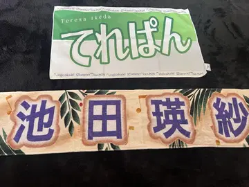 이케다 에레나 타월 2종