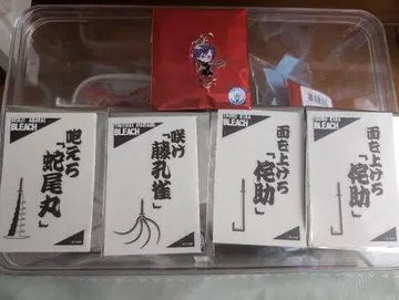 BLEACH MONOCOLOR