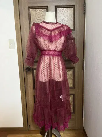 Honey Salon 시스루 튤 롱 원피스