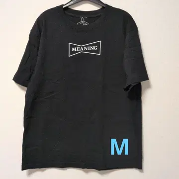 Wasted Youth MEANING 블랙 T셔츠 M