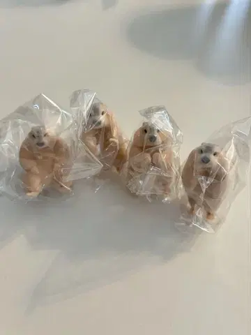 마모치 플로키 피규어 4종 세트