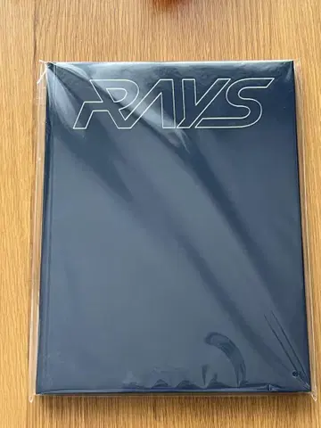 Snow Man RAYS 미개봉 팜플렛