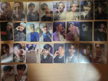 SEVENTEEN FACE THE SUN 캐럿반